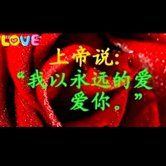 朱美华