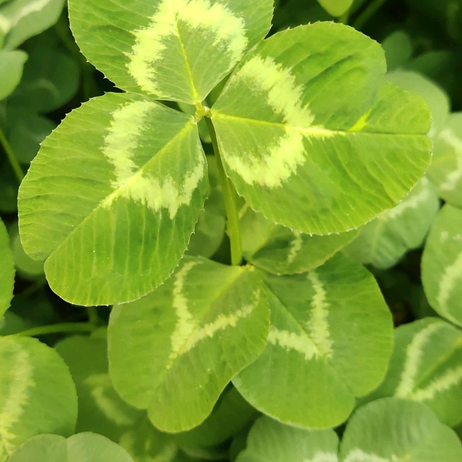 上善若水，厚德载物，扬帆