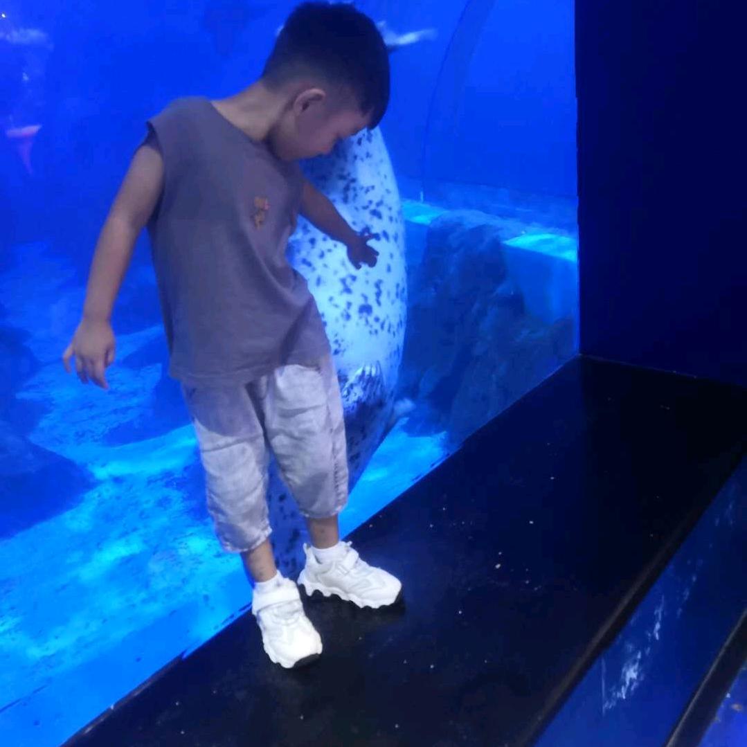懒得想