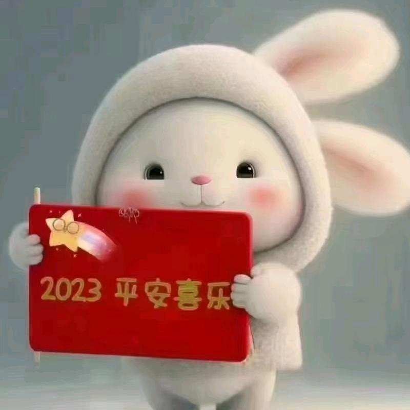 芳丫头