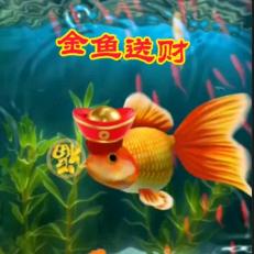 用户22265960