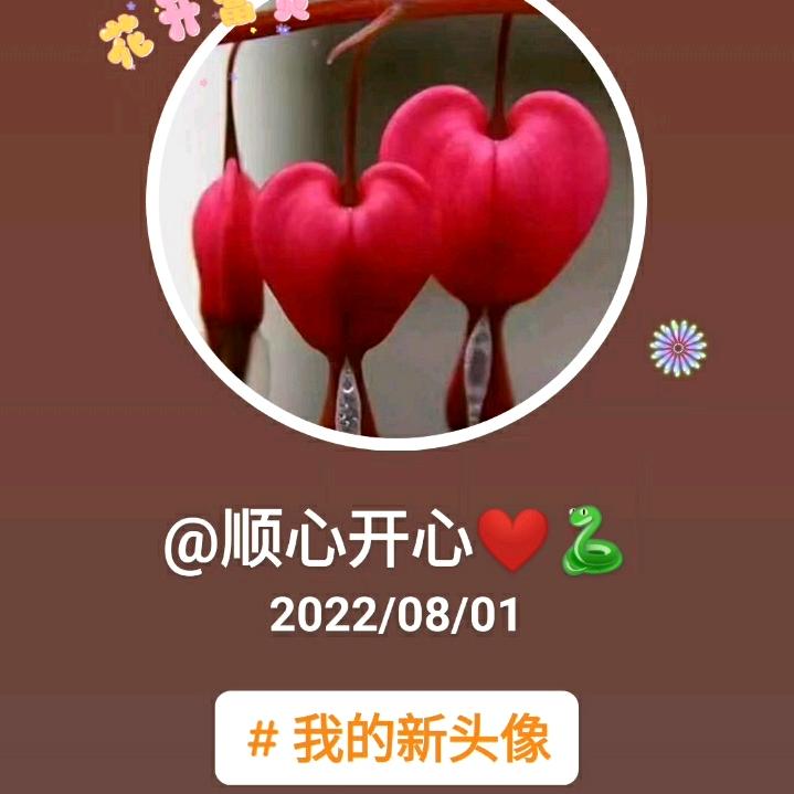 顺心开心🐍