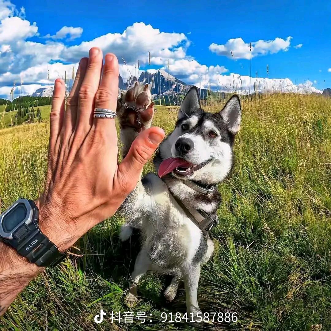 年少轻狂