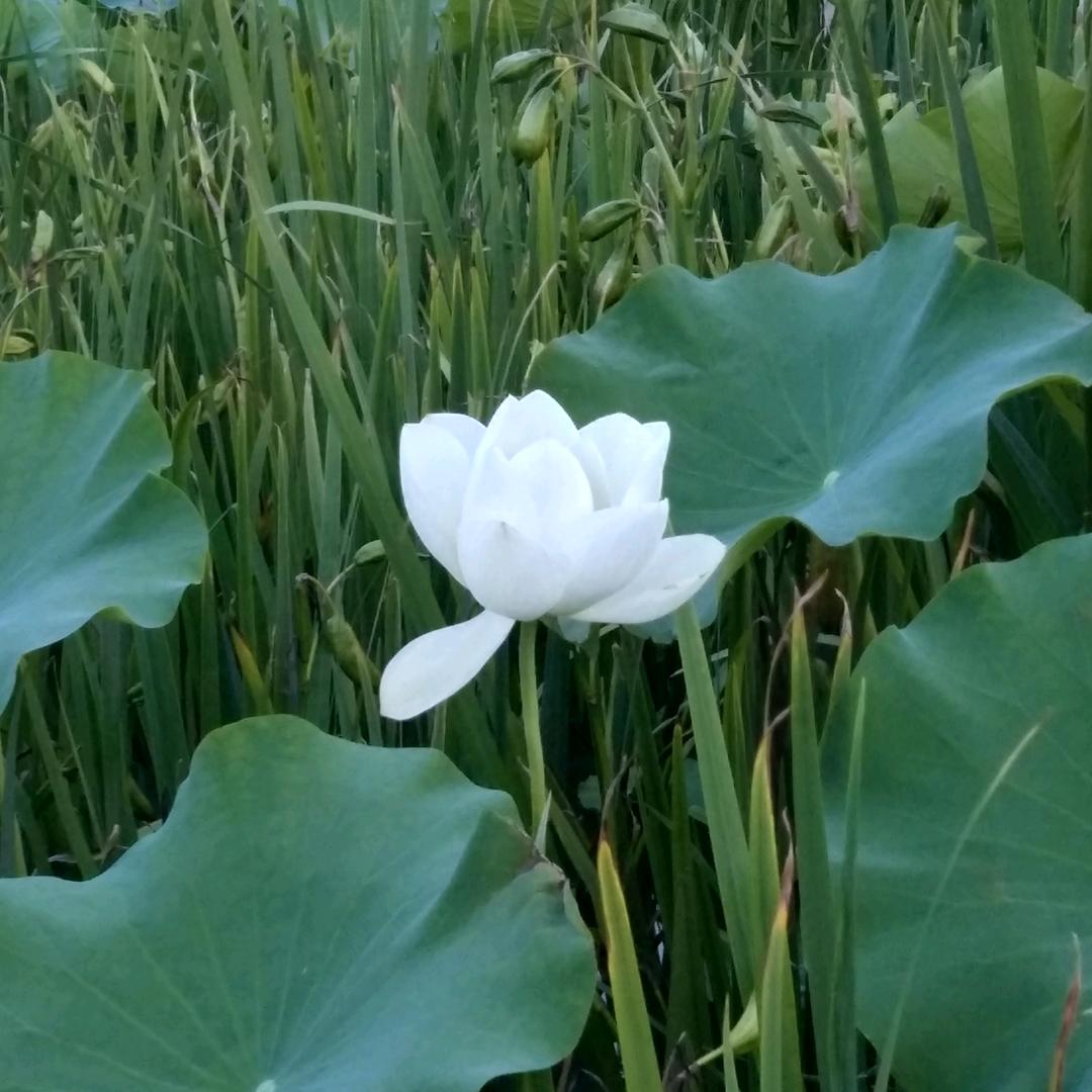 🌈☞不惑☜🎖