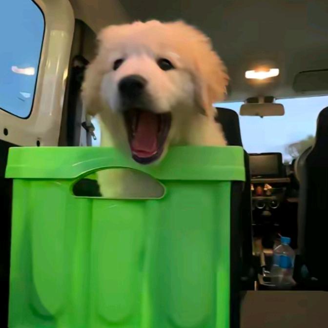 无忧(不要连赞)