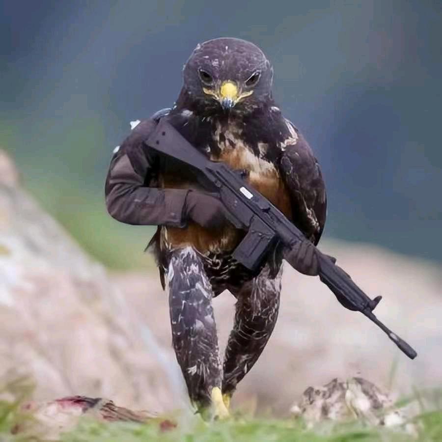 ㋡醉এۣۖิ 酒