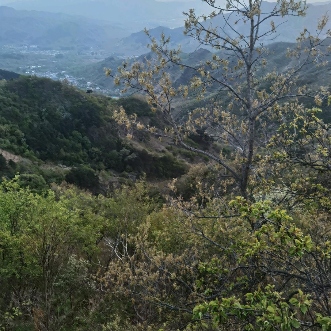 活出真实的自己