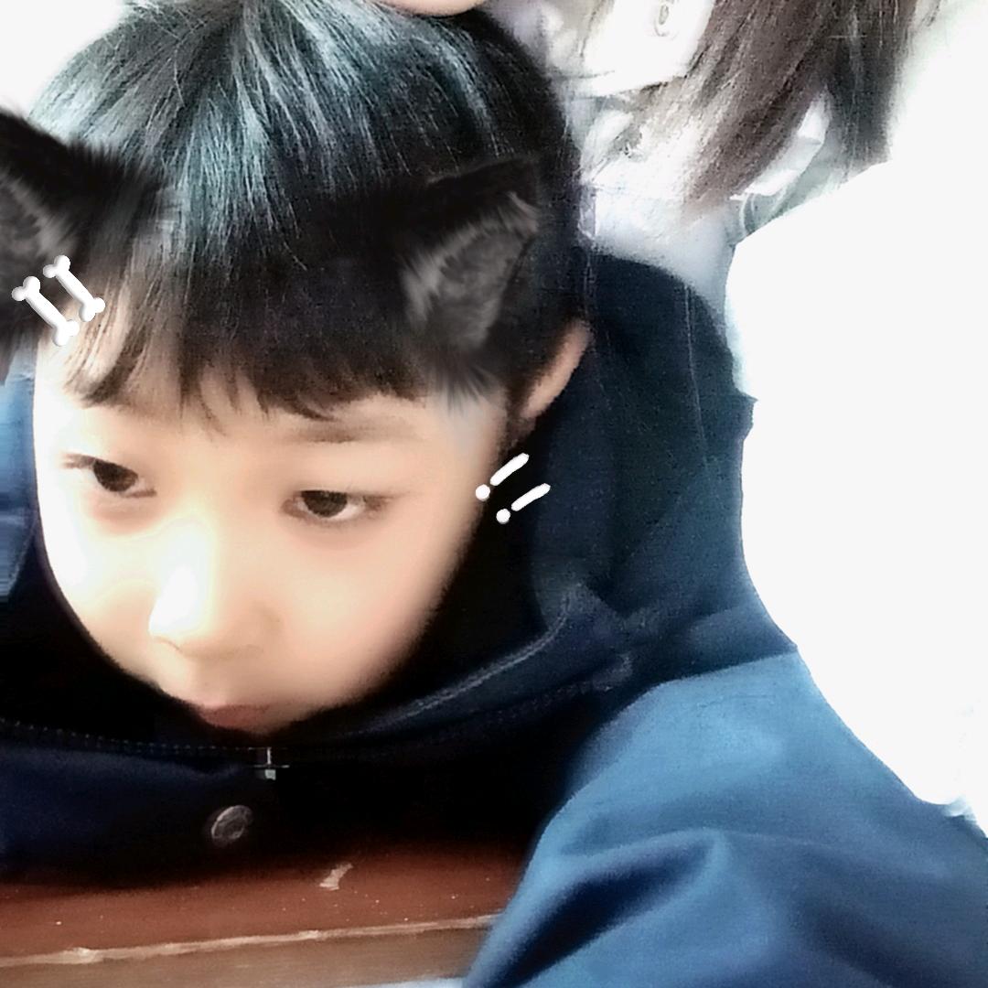 呆萌小可爱