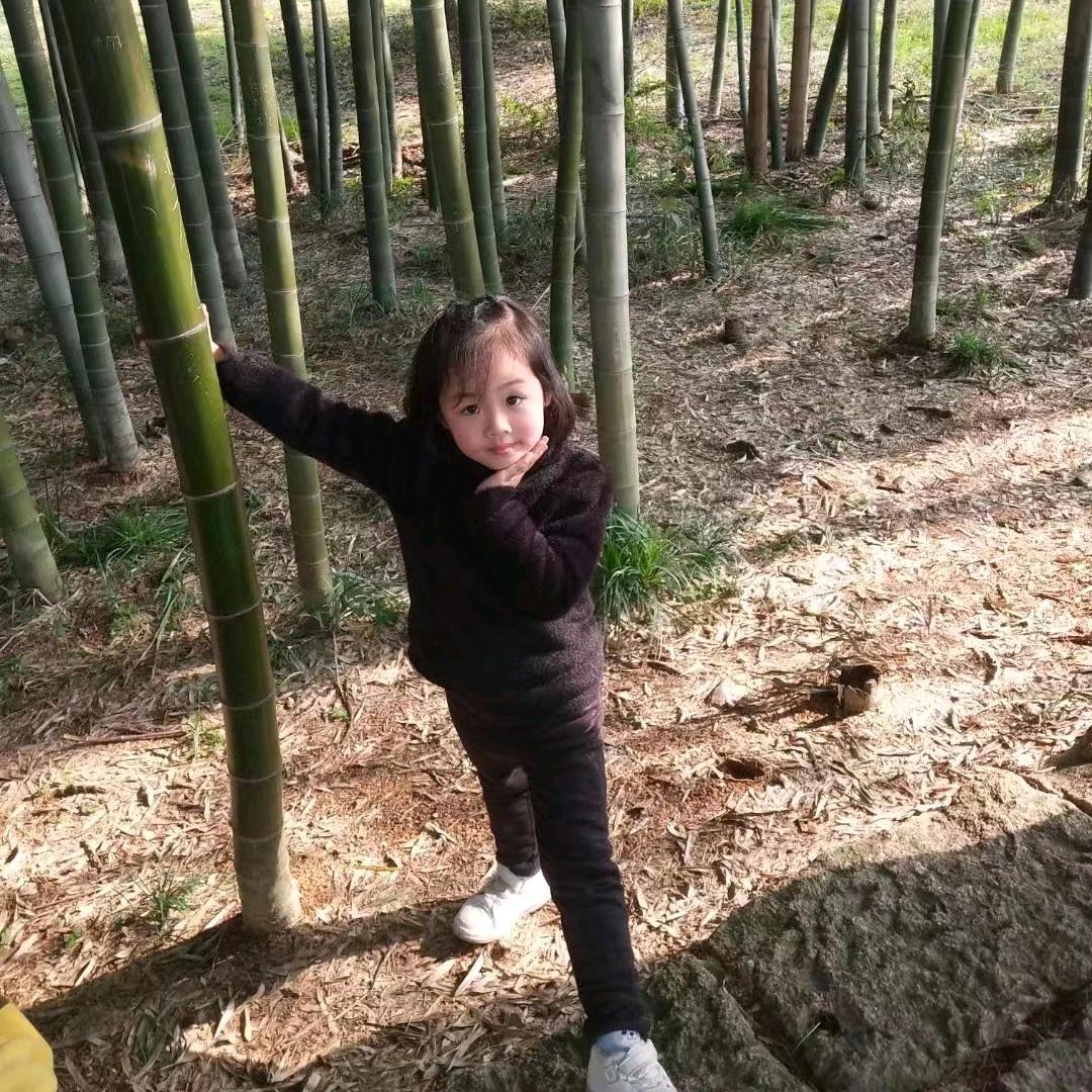 桉总