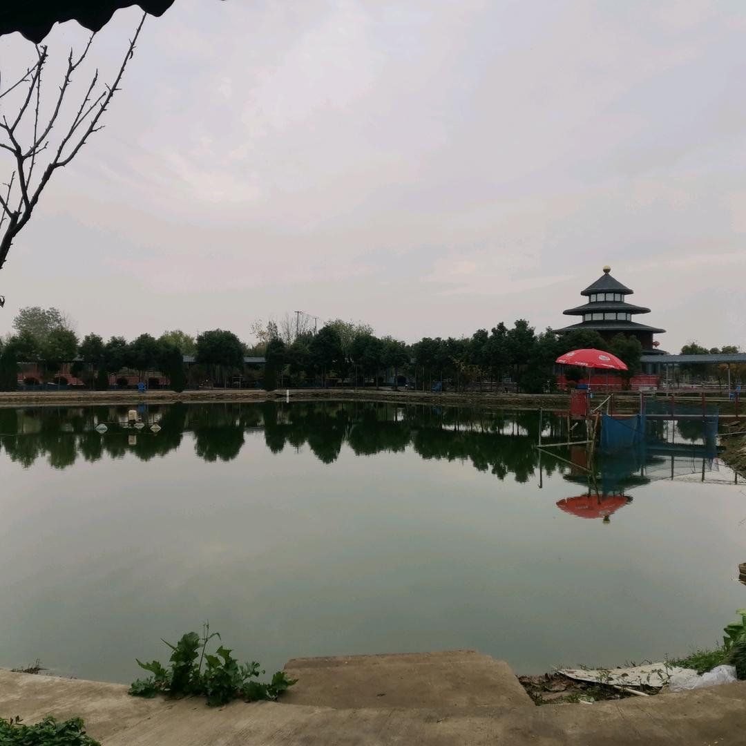三角圩农家乐