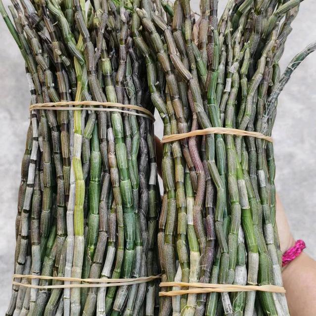 🌈云南石斛西施👌👌