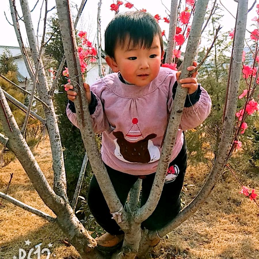 神易济世--心雨