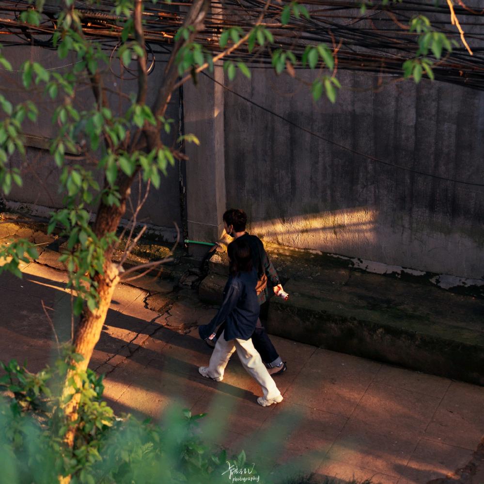 晚w