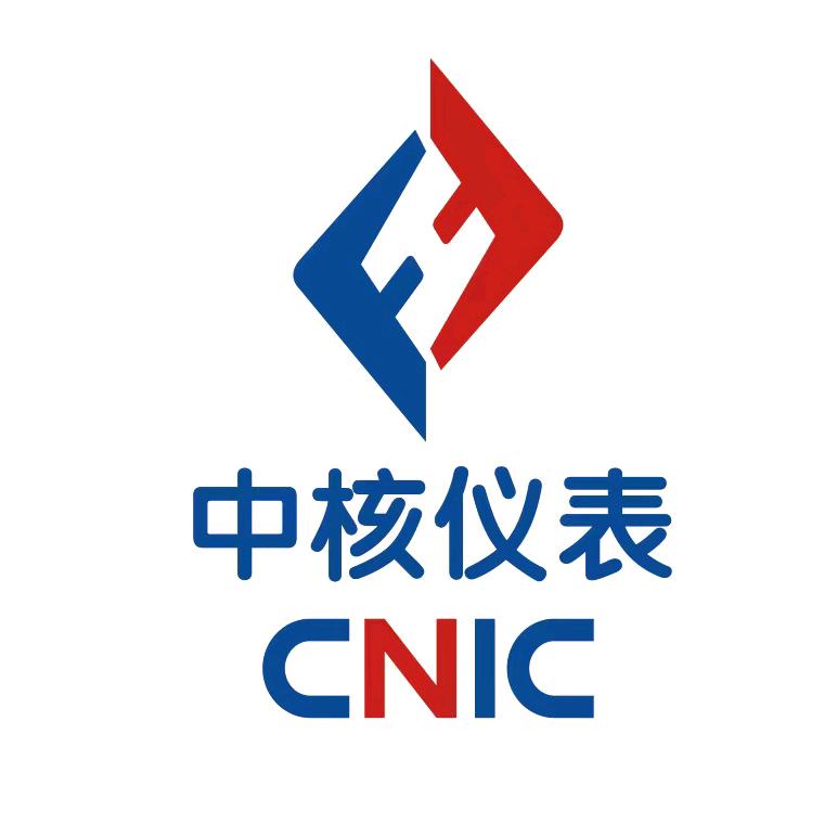 中核仪表