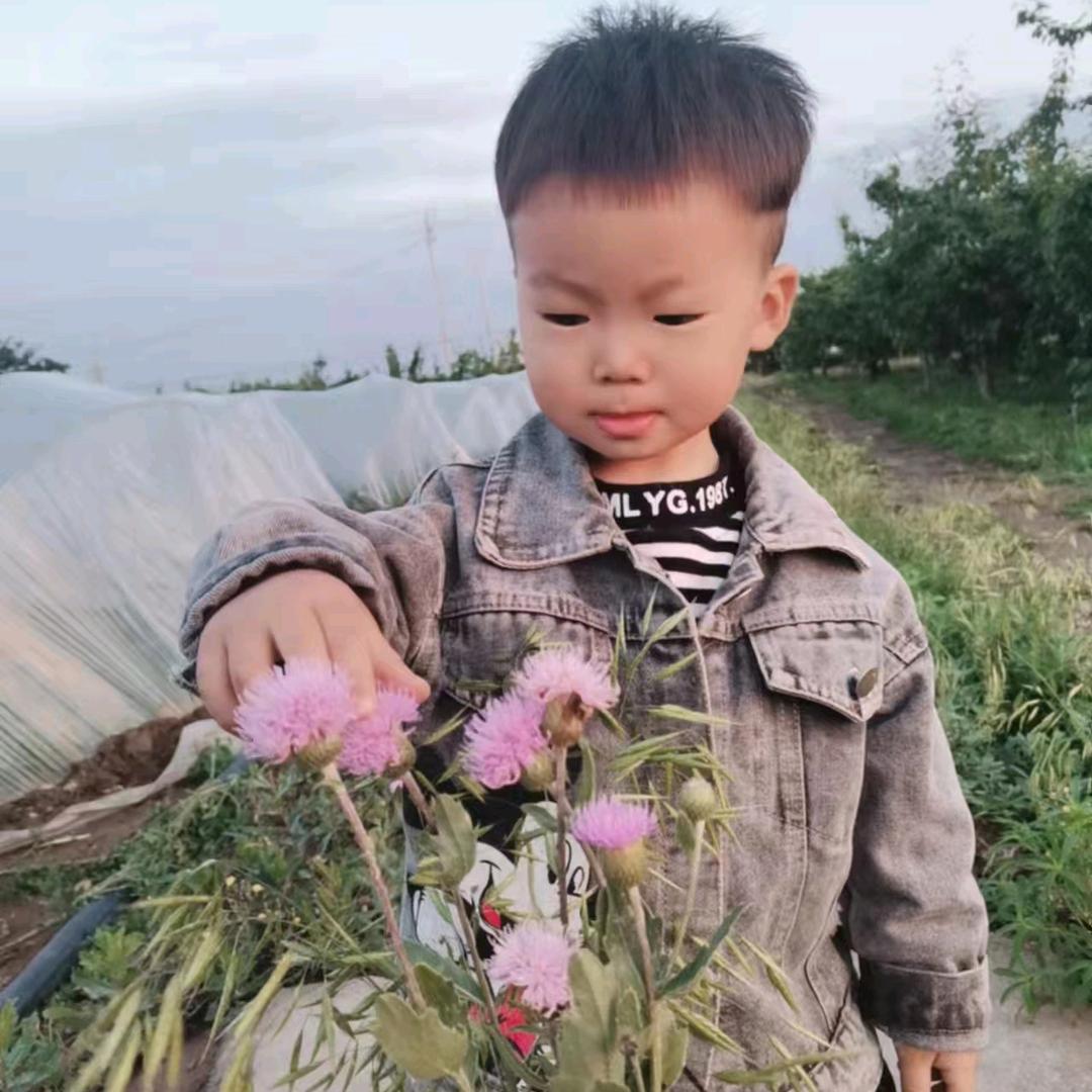 王书粉