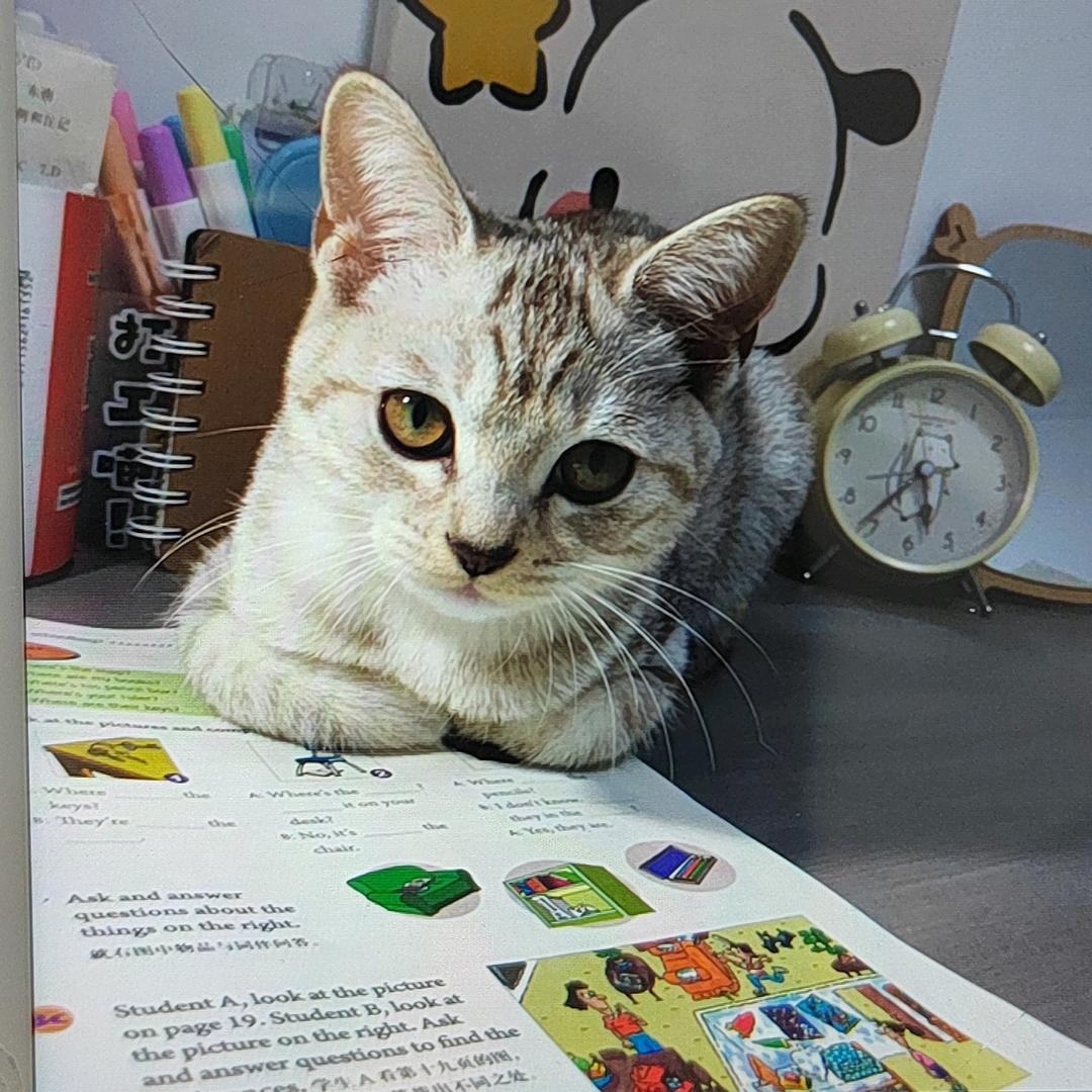 随心随缘  余生安好