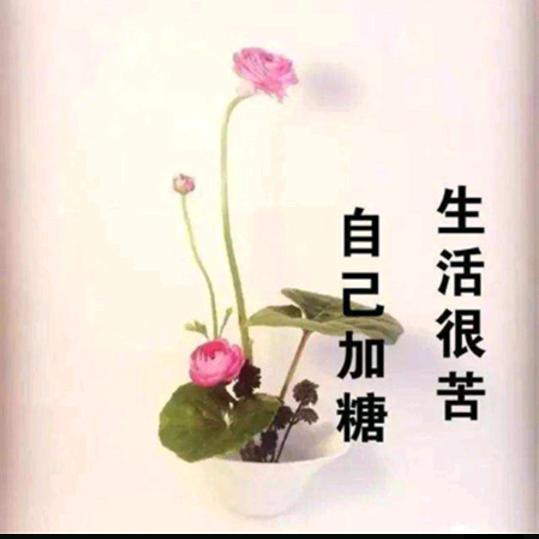 依旧随心