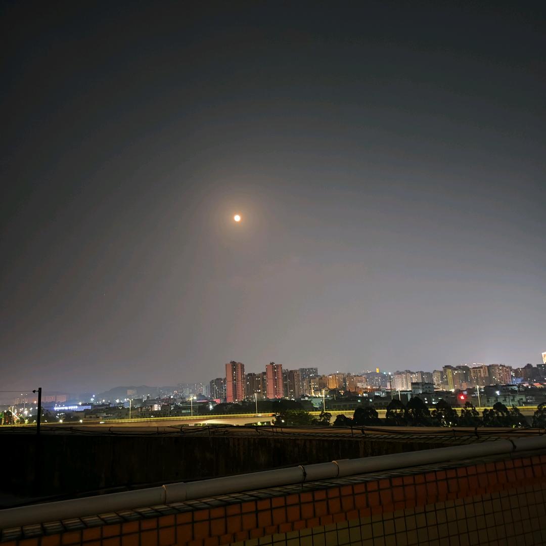 @毛豆
