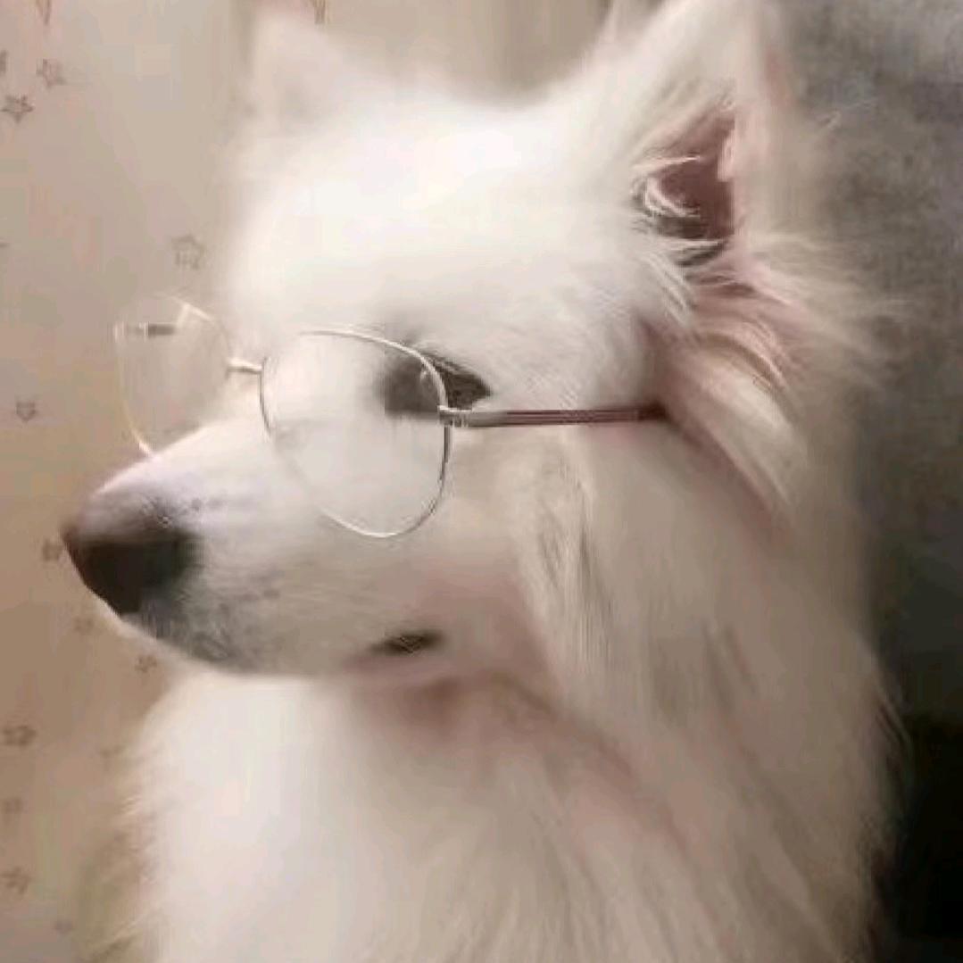 鱿堡披萨拌着面