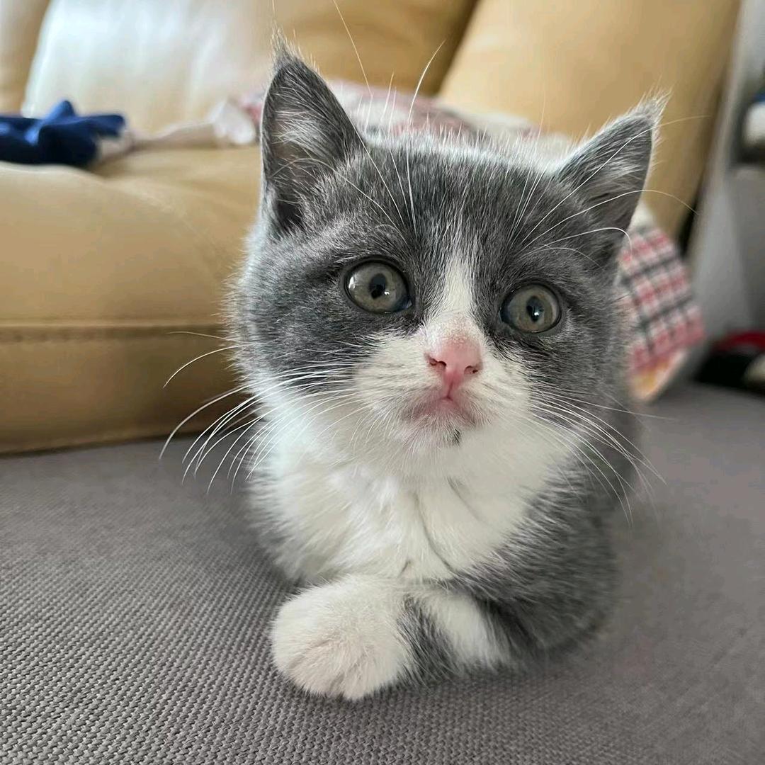 洗刷刷自助洗车(汉沽建设北路店)