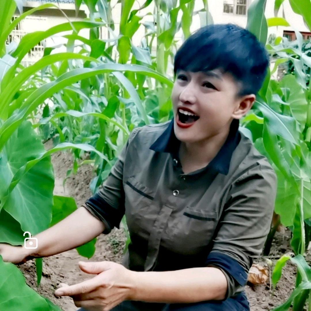 飞扬.