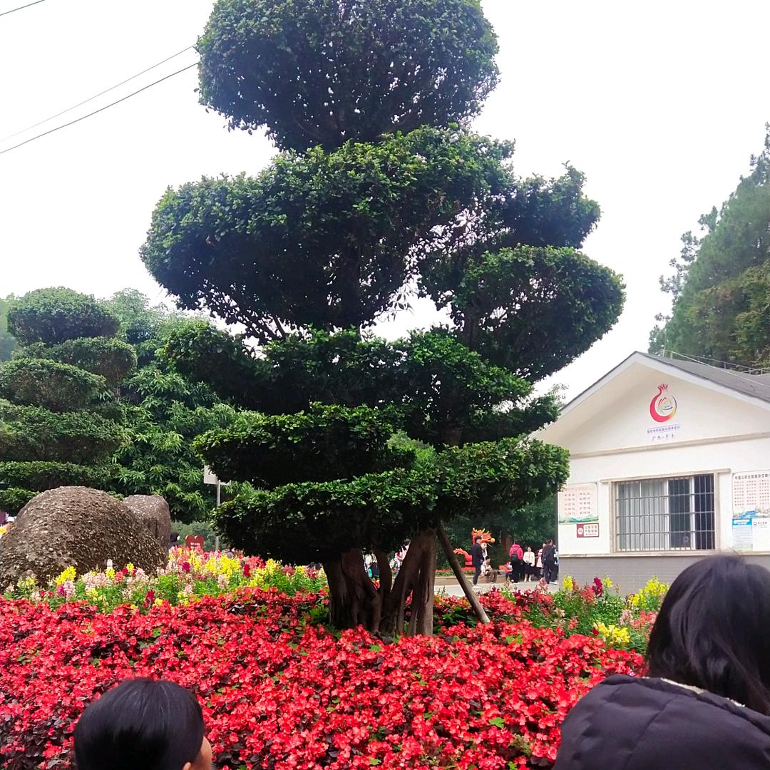 顺风顺水