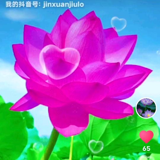 刘姐