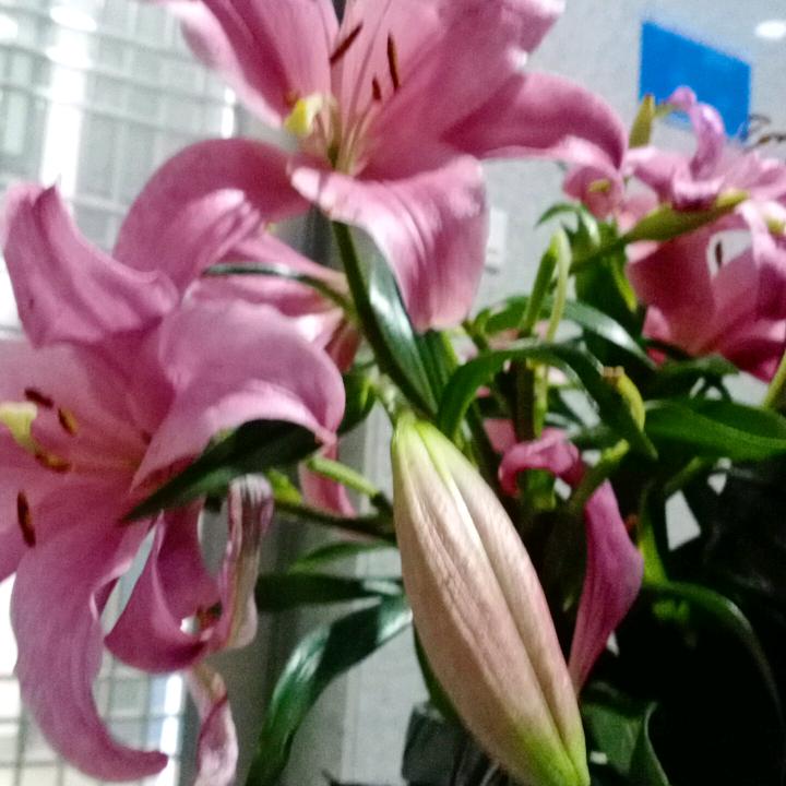 顺其自然。没事。他说