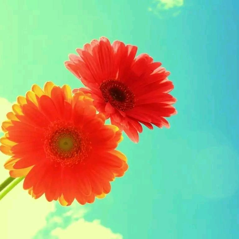 🌈爱笑的眼睛🌺🌻