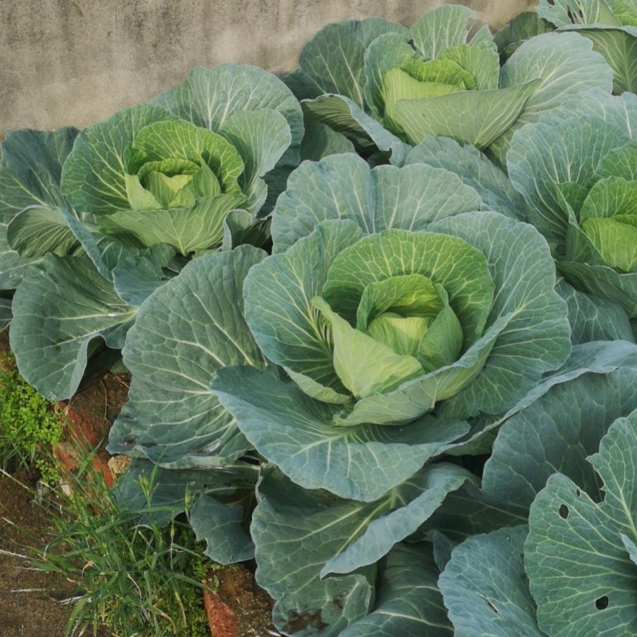 好人一生平安❤️❤️