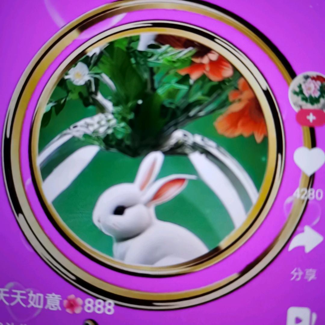 🌹平安是福💕