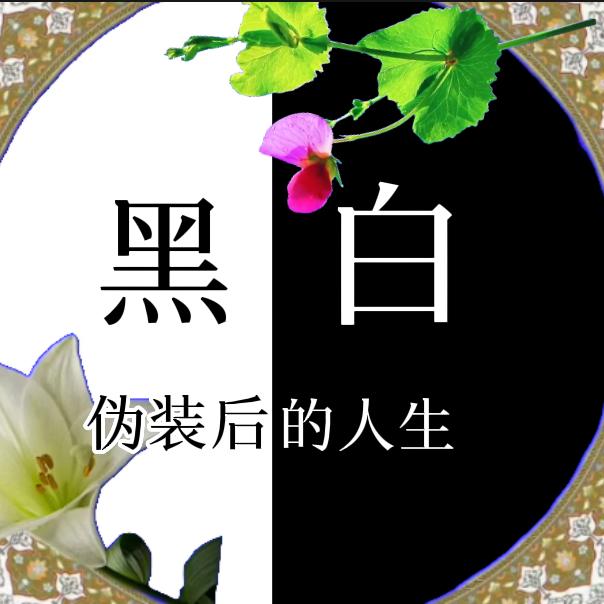 黑  白