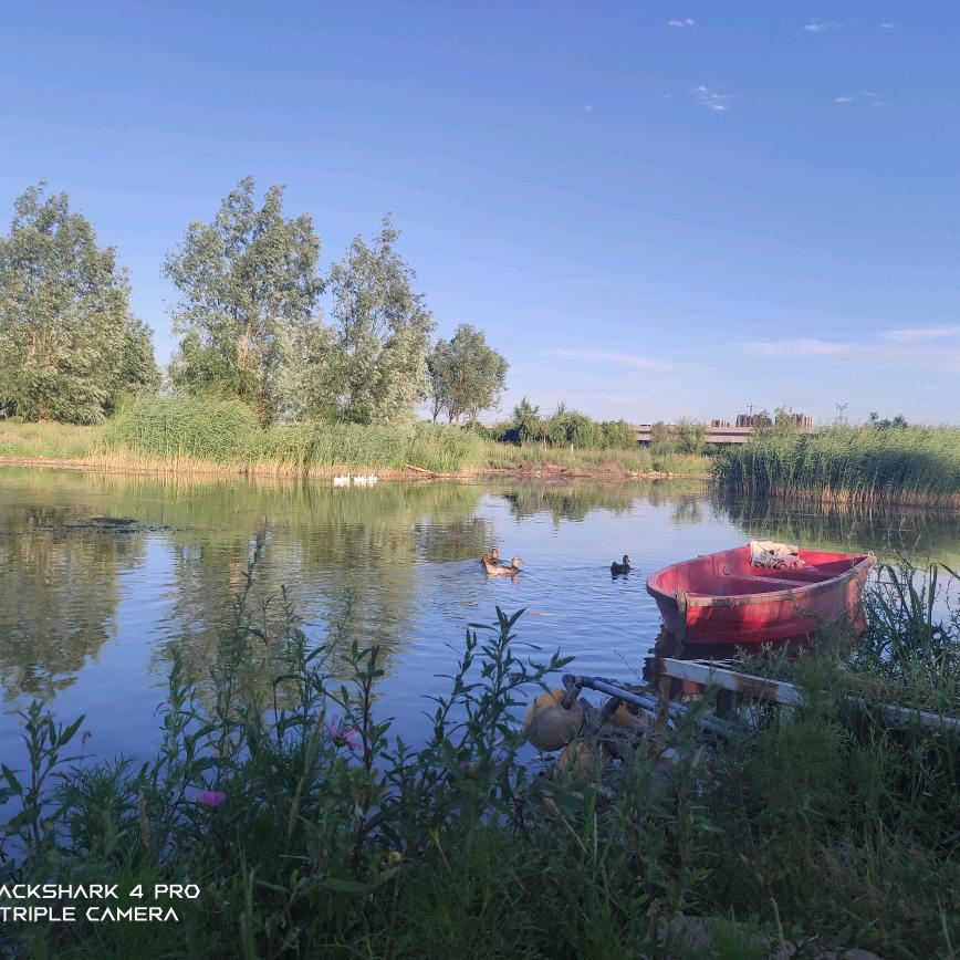 换个名字换种运气