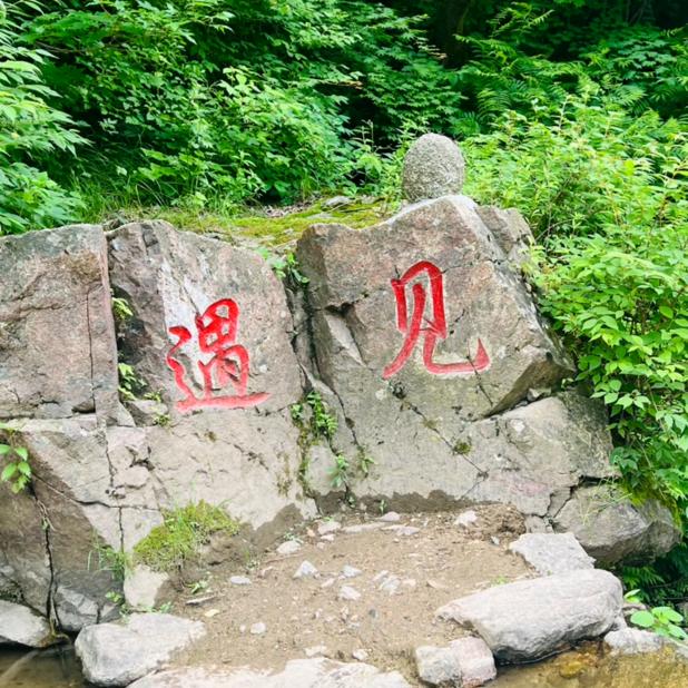 “遇见”