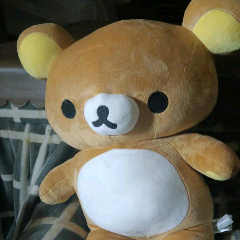 老燕