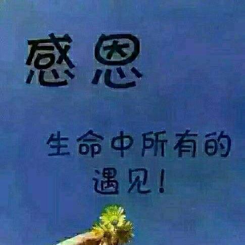 《¥努力奋斗¥》