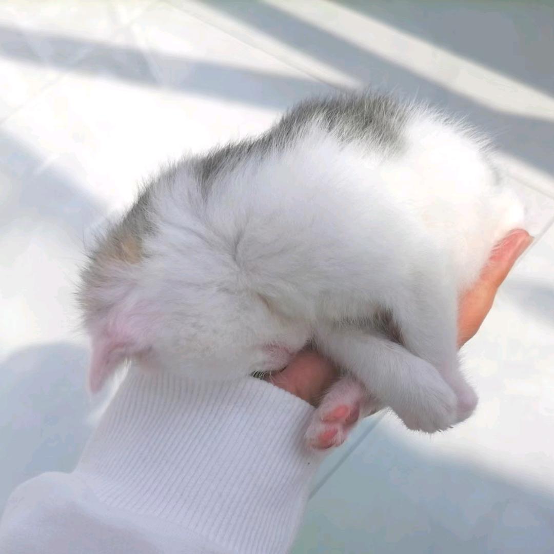 可可头像