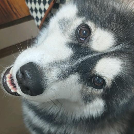 MI