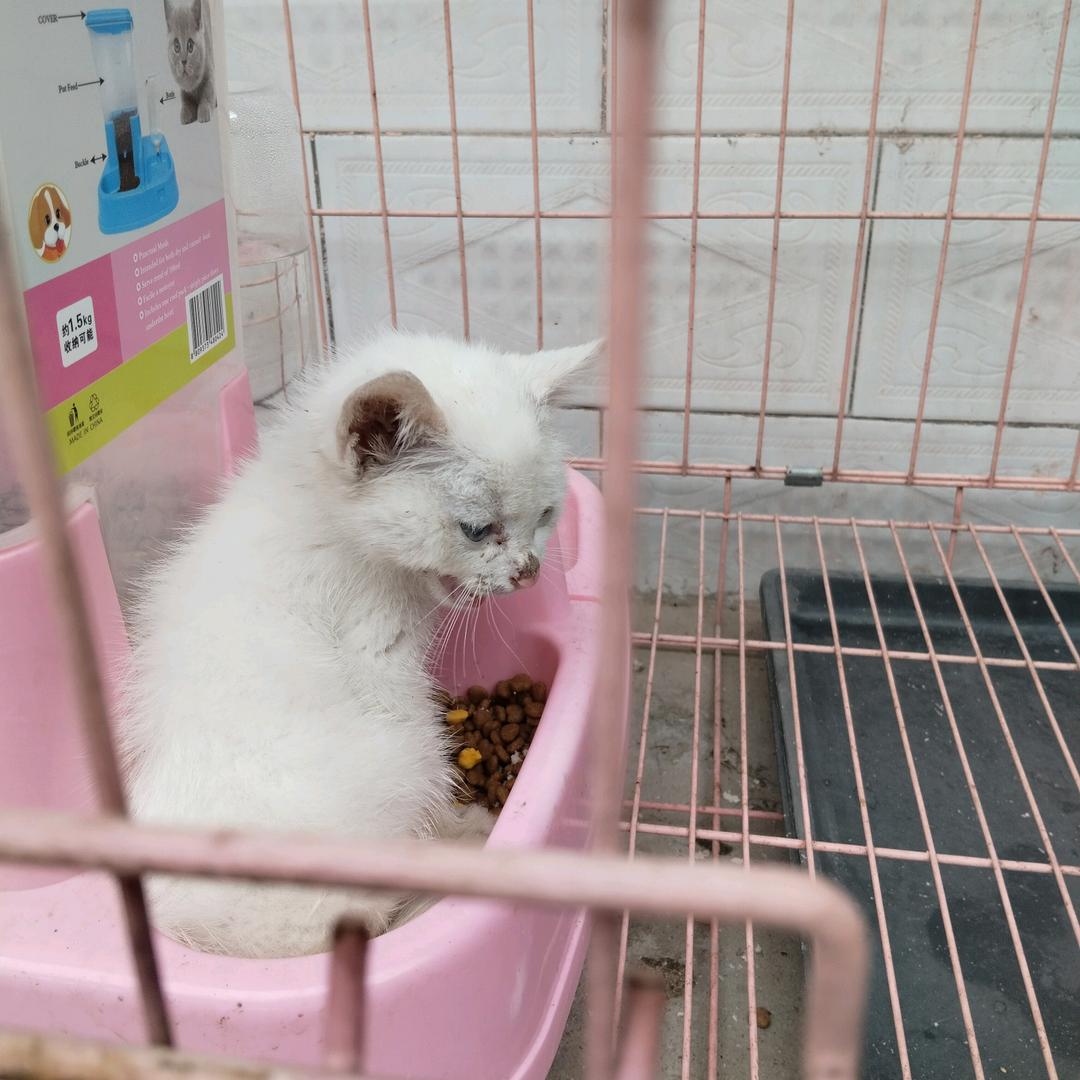 仅此而已