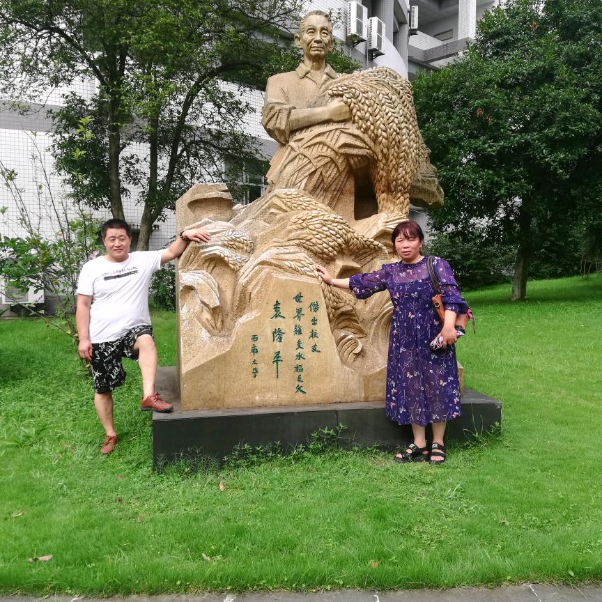 袁师傅专业贴砖