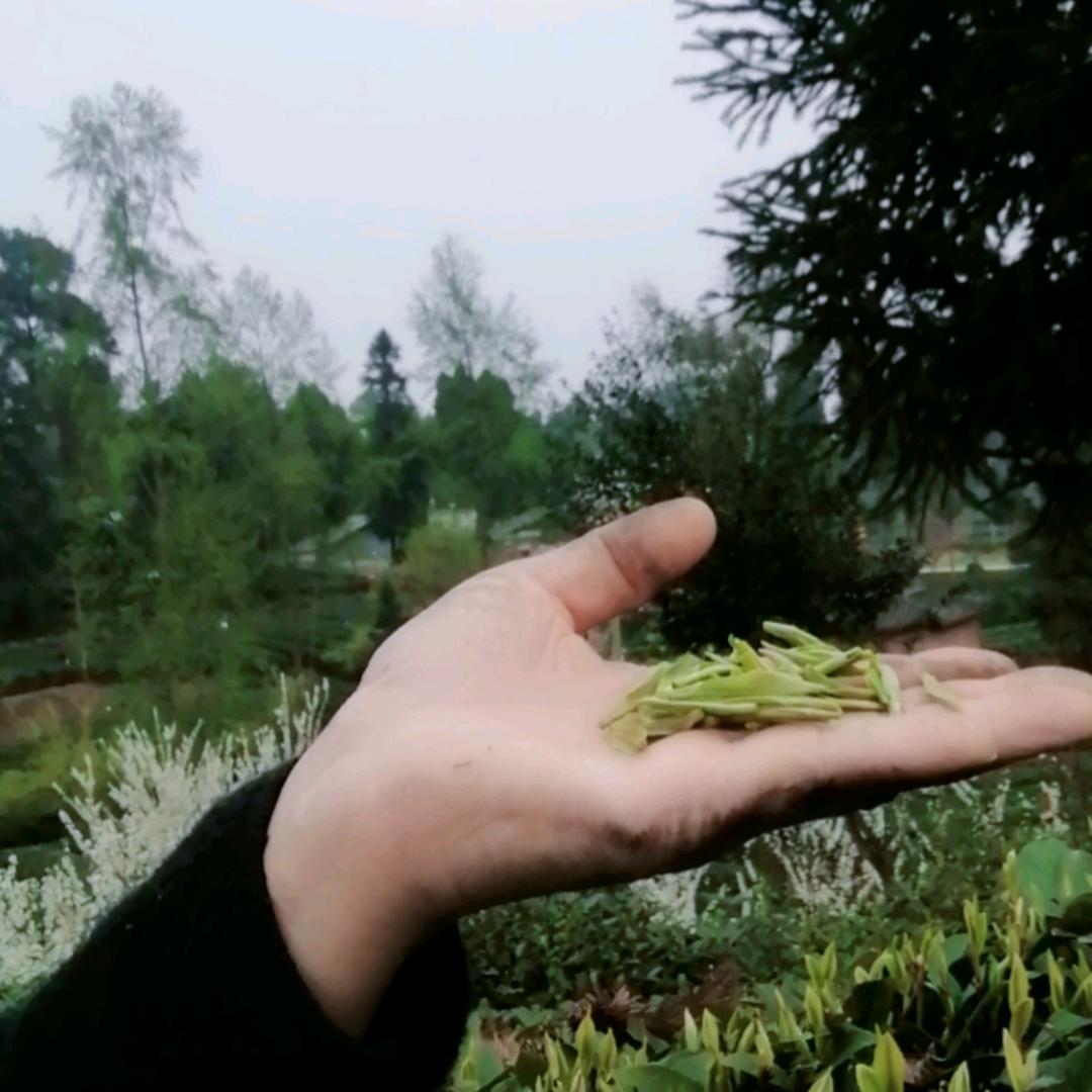 人生白味，谁能不累