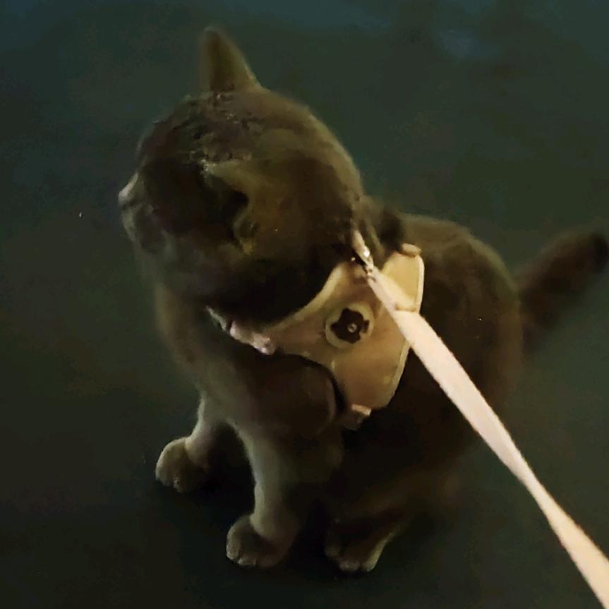 王者荣耀(千岁岁)