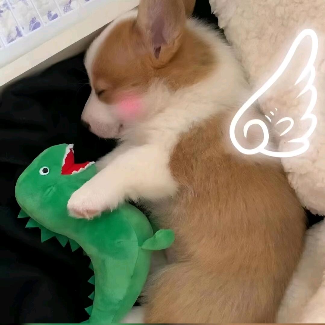 安安安