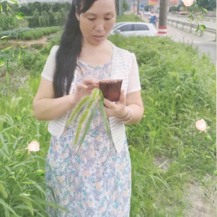 如果声音不记得呢！