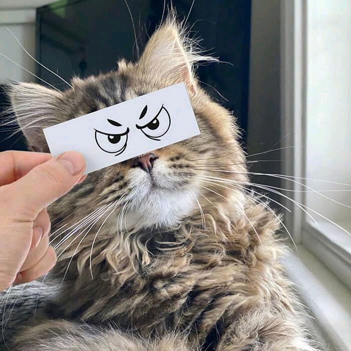 蹲在街边求口饭