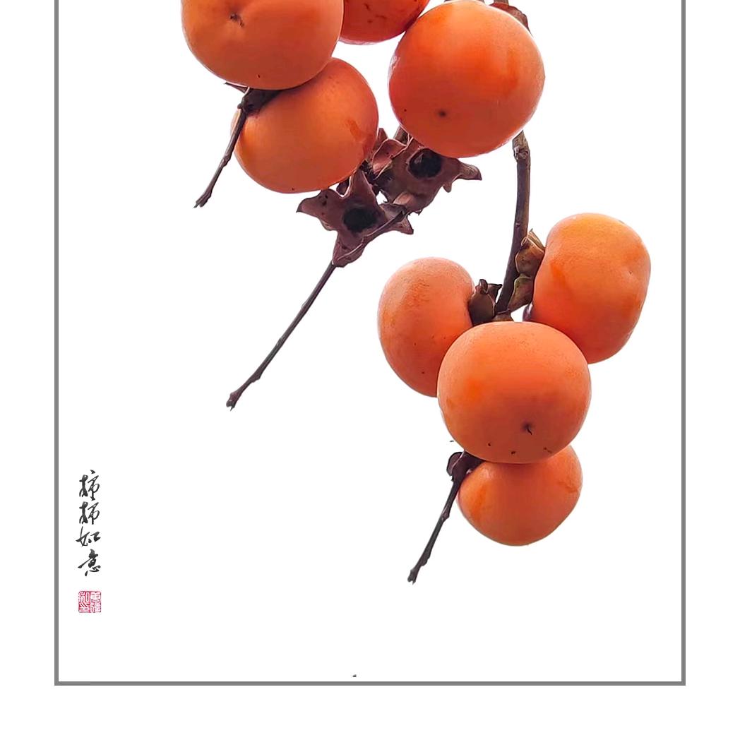 蒋大姐