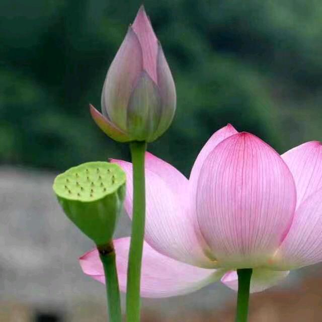 💅🏼💞霞霞💅🏼💞