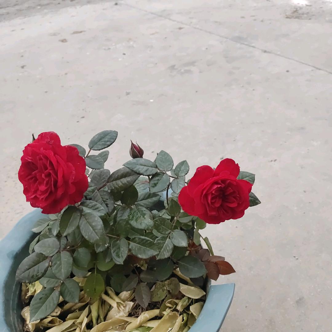 暖心相阳