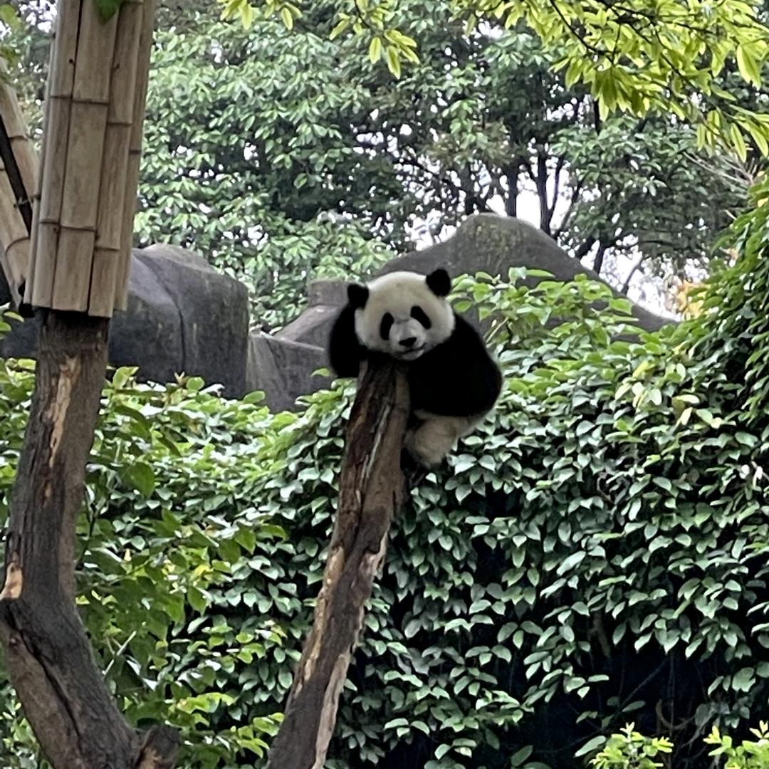 。。你不是我的菜。。。”