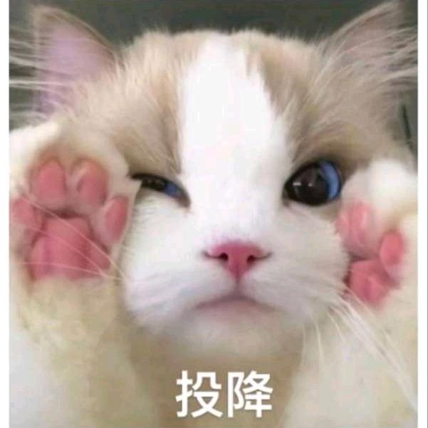 小明。。